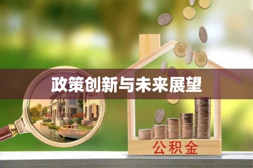 蒸湘政策创新与未来展望