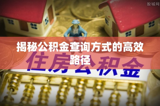 蒸湘揭秘公积金查询方式的高效路径