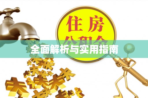 蒸湘全面解析与实用指南