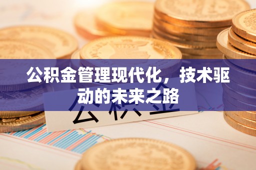 蒸湘公积金管理现代化，技术驱动的未来之路