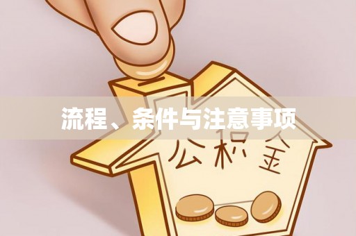 蒸湘流程、条件与注意事项